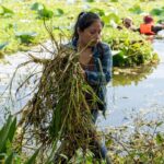 Inicia SEDEMA jornadas de limpieza en la Laguna de San Julián