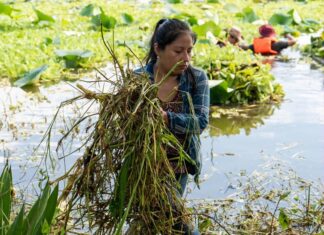 Inicia SEDEMA jornadas de limpieza en la Laguna de San Julián