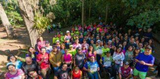 El cuidado del medio ambiente se construye en comunidad; en el Macuiltépetl se dio nueva vida a la madera