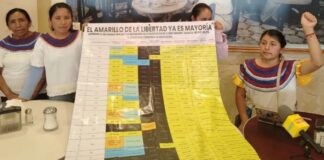 Mazatecas por la Libertad gana todos los amparos para defensores criminalizados de Eloxochitlán