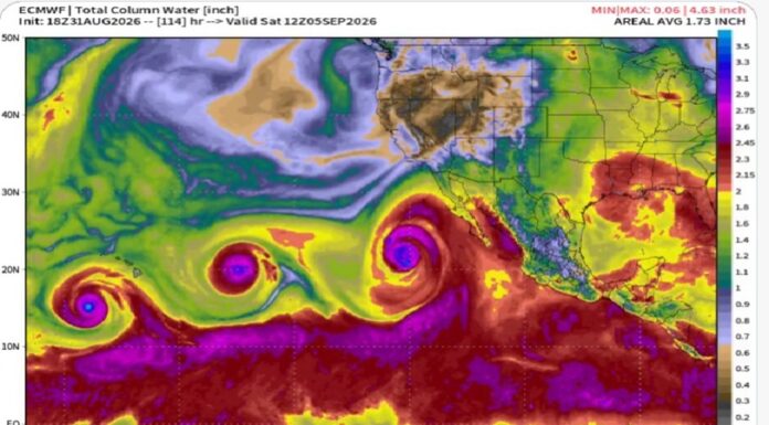 Pacífico se activa con tres sistemas tropicales: Karina, Lowell y Marie mantienen vigilancia meteorológic