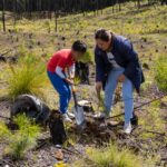 Planta Sedema mil árboles en San Juan del Monte