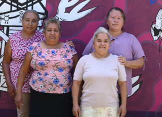 DIF de Veracruz contribuye a labor humanitaria de Las Patronas con entrega de insumos