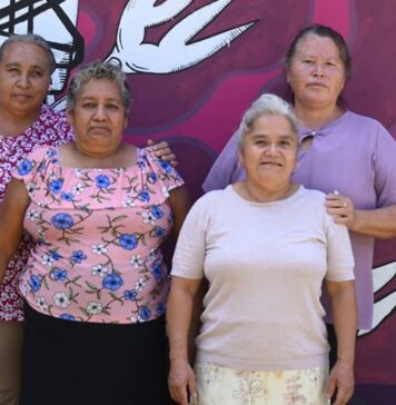 DIF de Veracruz contribuye a labor humanitaria de Las Patronas con entrega de insumos