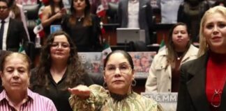 Claudia Tello asume lugar en la Mesa Directiva del Senado tras salida de Simey Olvera