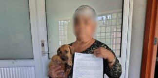 Promueve Salud Municipal la adopción responsable de 51 animales