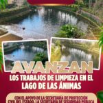 Gobierno de Veracruz realiza labores de limpieza en lago de Las Ánimas