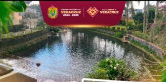 Gobierno de Veracruz realiza labores de limpieza en lago de Las Ánimas