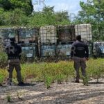FGR en Veracruz asegura más de 50 mil litros de hidrocarburo , armas y vehículos en Tihuatln