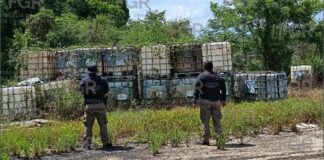 FGR en Veracruz asegura más de 50 mil litros de hidrocarburo , armas y vehículos en Tihuatln