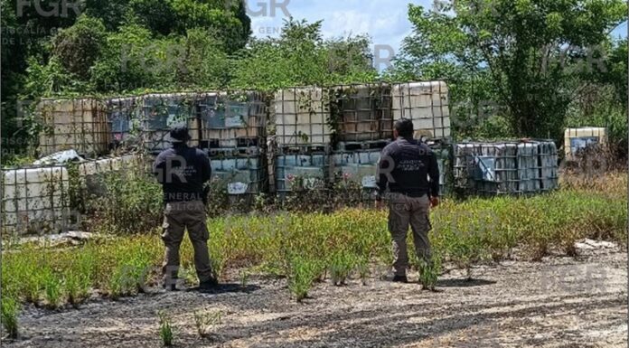 FGR en Veracruz asegura más de 50 mil litros de hidrocarburo , armas y vehículos en Tihuatln