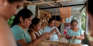 Explora una forma diferente de conocer Veracruz mediante el turismo comunitario
