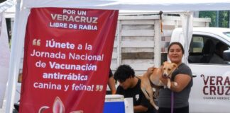 Hasta el 26 de septiembre, Jornada de Reforzamiento de Vacunación Antirrábica