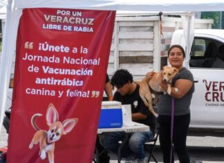 Hasta el 26 de septiembre, Jornada de Reforzamiento de Vacunación Antirrábica