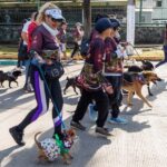 Carrera y caminata Dejando Huella recaudó más de dos toneladas de alimento para albergues de animales