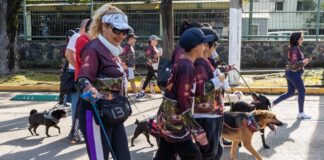 Carrera y caminata Dejando Huella recaudó más de dos toneladas de alimento para albergues de animales