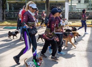 Carrera y caminata Dejando Huella recaudó más de dos toneladas de alimento para albergues de animales