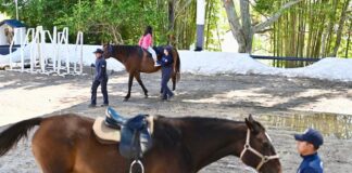 SSP brinda equinoterapia para favorecer el desarrollo integral de niñas y niños