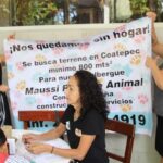 Albergue MAUSI Rescate Animal busca nuevo espacio para resguardar a 150 perros y gatos