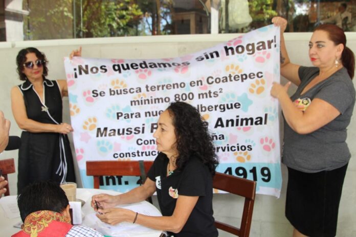 Albergue MAUSI Rescate Animal