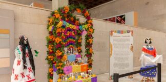 Tradición y memoria, puesta de altar en el Museo de Antropología de Xalapa.