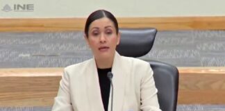 Confirman renuncia de 12 colaboradores de Taddei en el INE; solo se ha identificado a uno