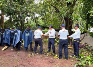 Más de 2 mil elementos participaron en labores de auxilio en municipios del sur