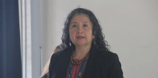 Veracruz redujo feminicidios, pero las desapariciones de mujeres aumentaron, advirtió Estela Casados,