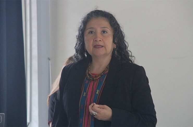Veracruz redujo feminicidios, pero las desapariciones de mujeres aumentaron, advirtió Estela Casados,