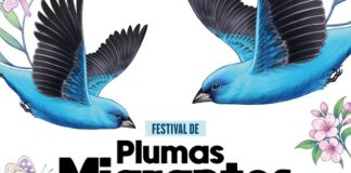 Celebra SECVER el Día Mundial de las Aves Migratorias en el MAEV