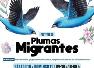 Celebra SECVER el Día Mundial de las Aves Migratorias en el MAEV