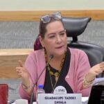 El INE bajo sospecha: contratos millonarios, presuntos conflictos de interés y una crisis que alcanza a Guadalupe Taddei