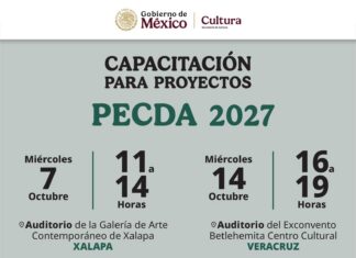 SECVER orientará a la comunidad artística para la elaboración de proyectos PECDA 2027