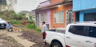 Prioriza Ayuntamiento protección y bienestar animal; se atendió reporte de vecinos de Lomas de Casa Blanca