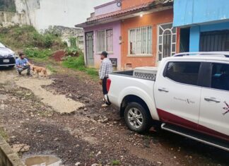 Prioriza Ayuntamiento protección y bienestar animal; se atendió reporte de vecinos de Lomas de Casa Blanca