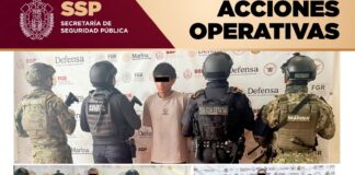 Operativos coordinados: 284 dosis de presuntas sustancias ilícitas aseguradas, 54 personas detenidas y 51 vehículos recuperados