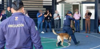 Con más de 4 mil 800 intervenciones, SSP acerca la prevención del delito a 81 municipios