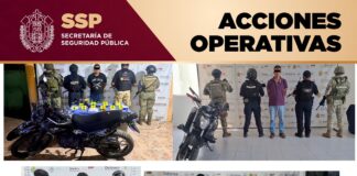 En operativos, aseguramiento de alrededor de 300 dosis de presuntas sustancias ilícitas y recuperación de 16 vehículos