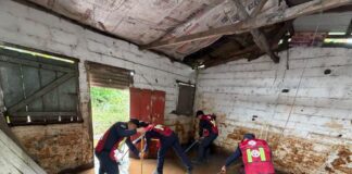 Continúa el Plan Tajín en apoyo a familias afectadas por el frente frío 2 en el sur de Veracruz