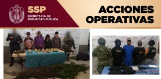 Detenidos 11 presuntos integrantes de células delictivas durante operativos coordinados