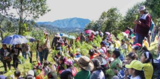 Sedema y Alpatláhuac reforestan 55.5 hectáreas en las Altas Montañas