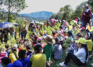 Sedema y Alpatláhuac reforestan 55.5 hectáreas en las Altas Montañas