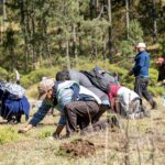 Reforesta Sedema 3.5 hectáreas en el ejido Las Vigas con 3 mil 500 árboles