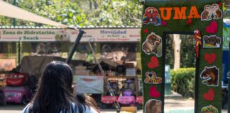 Naturalia transforma el Día de Muertos en un encuentro con la biodiversidad