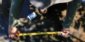 INAH identifica al menos 50 huellas de dinosaurios en Michoacán; podrían tener 65 millones de años
