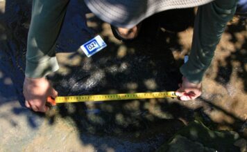 INAH identifica al menos 50 huellas de dinosaurios en Michoacán; podrían tener 65 millones de años