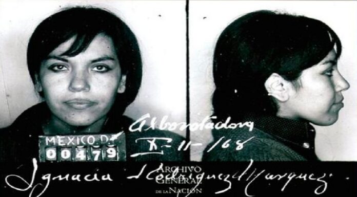 Ana Ignacia Rodríguez Márquez, La memoria de las mujeres que el relato del 68 dejó fuera