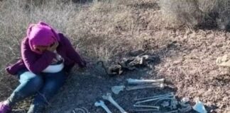 Ceci Flores y su hija abren camino para certificar a personas buscadoras en medio de la crisis de desapariciones forzadas en México