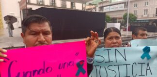 Familia de joven atropellada en Banderilla exige justicia con pena máxima para presunto responsable.