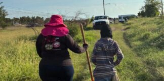 Clínica IBERO gana fallo para madre buscadora hondureña y abre camino a familias extranjeras con personas desaparecidas en México